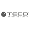 Logo TECO
